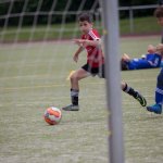 Meisterschaft - Post TSV Detmold vs. Vfl Hiddesen - E-Junioren 2016/17 Kreisliga A